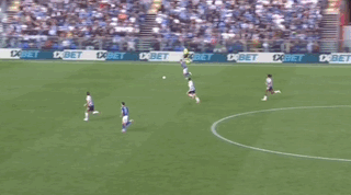 斑马军团长, 保持不败, http